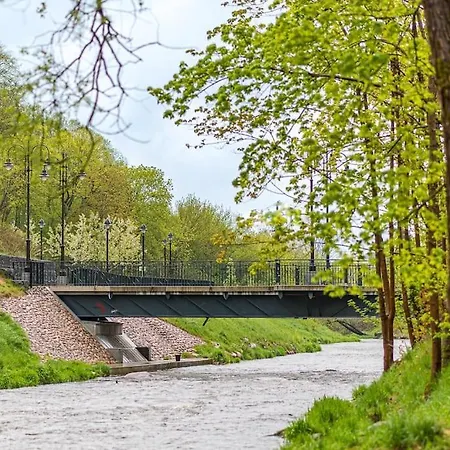 Apartment Spacious Luxury W/river View/terrace Paupys Wilna
