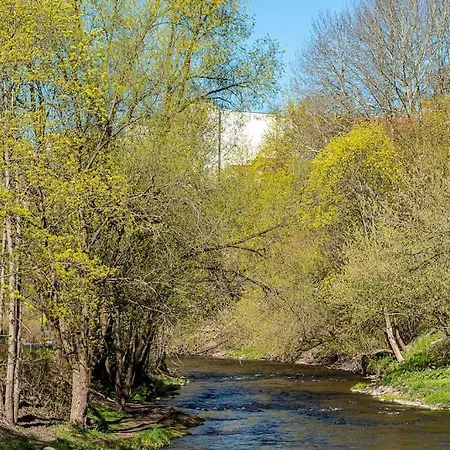 Spacious Luxury W/river View/terrace Paupys *