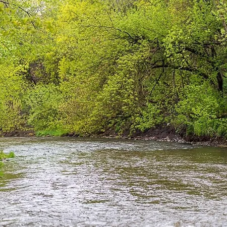 Апартаменты Spacious Luxury W/river View/terrace Paupys