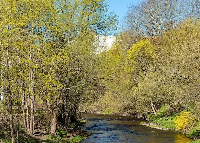 Spacious Luxury W/river View/terrace Paupys *