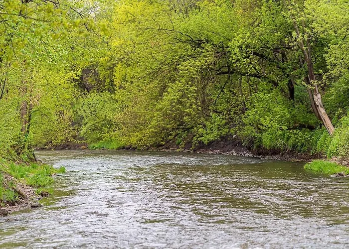 شقة Spacious Luxury W/river View/terrace Paupys