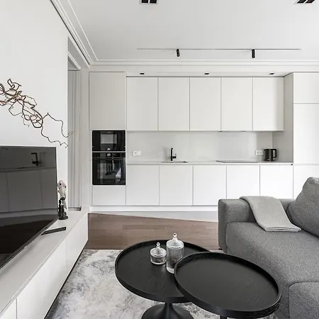 Spacious Luxury W/river View/terrace Paupys Lägenhet Vilnius