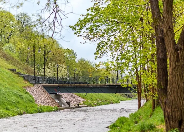 Appartement Spacious Luxury W/river View/terrace Paupys Vilnius